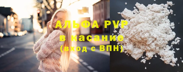 хмурый Зеленокумск
